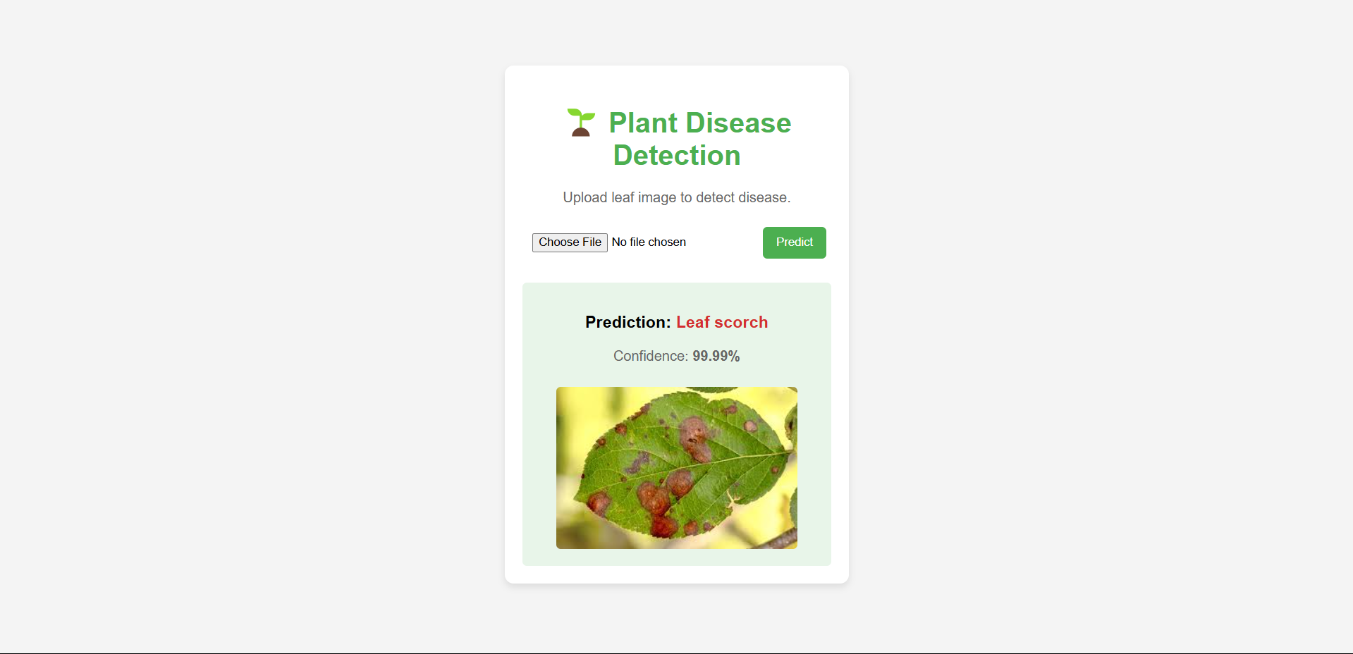 Plant Disease Detection